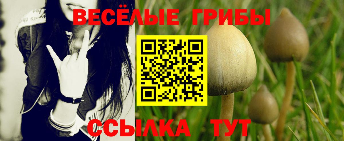 Галлюциногенные грибы ЛСД  Вход с VPN  Кингисепп 